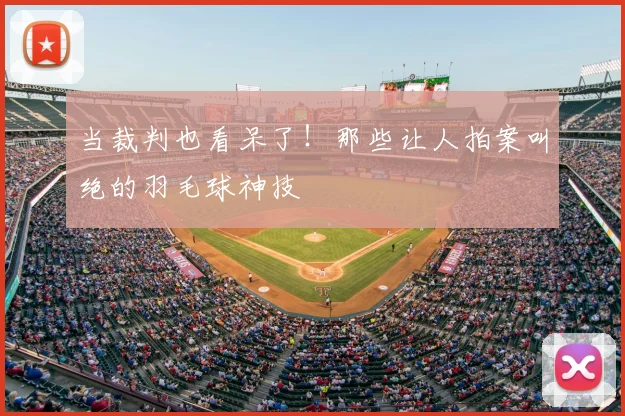 当裁判也看呆了！那些让人拍案叫绝的羽毛球神技